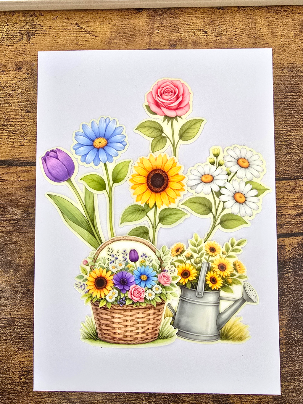 Sticker  | Marguerites